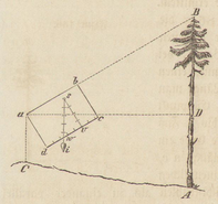 Tree height measurement with Winkler's Taschen-Dendrometer [17].