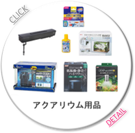 アクアリウム用品/熱帯魚/水槽/ポンプ/クーラー/ヒーター/ライト/EHEIM/テトラ/コトブキ/アクアデザインアマノ/キョーリン/ジュンコーポレーション/GEX
