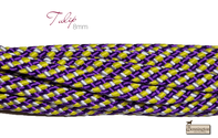 Tulip