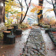秋の雨