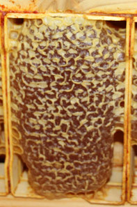 Cadre de miel brut