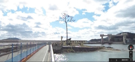 奇跡の1本松 Google Map より