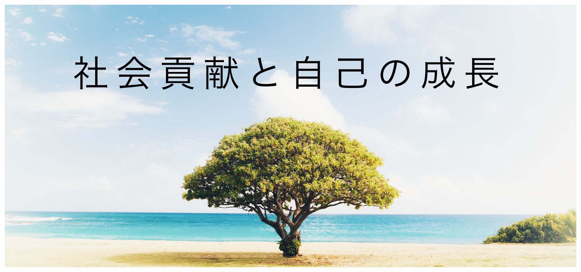 有限会社ＳＷＡＴ