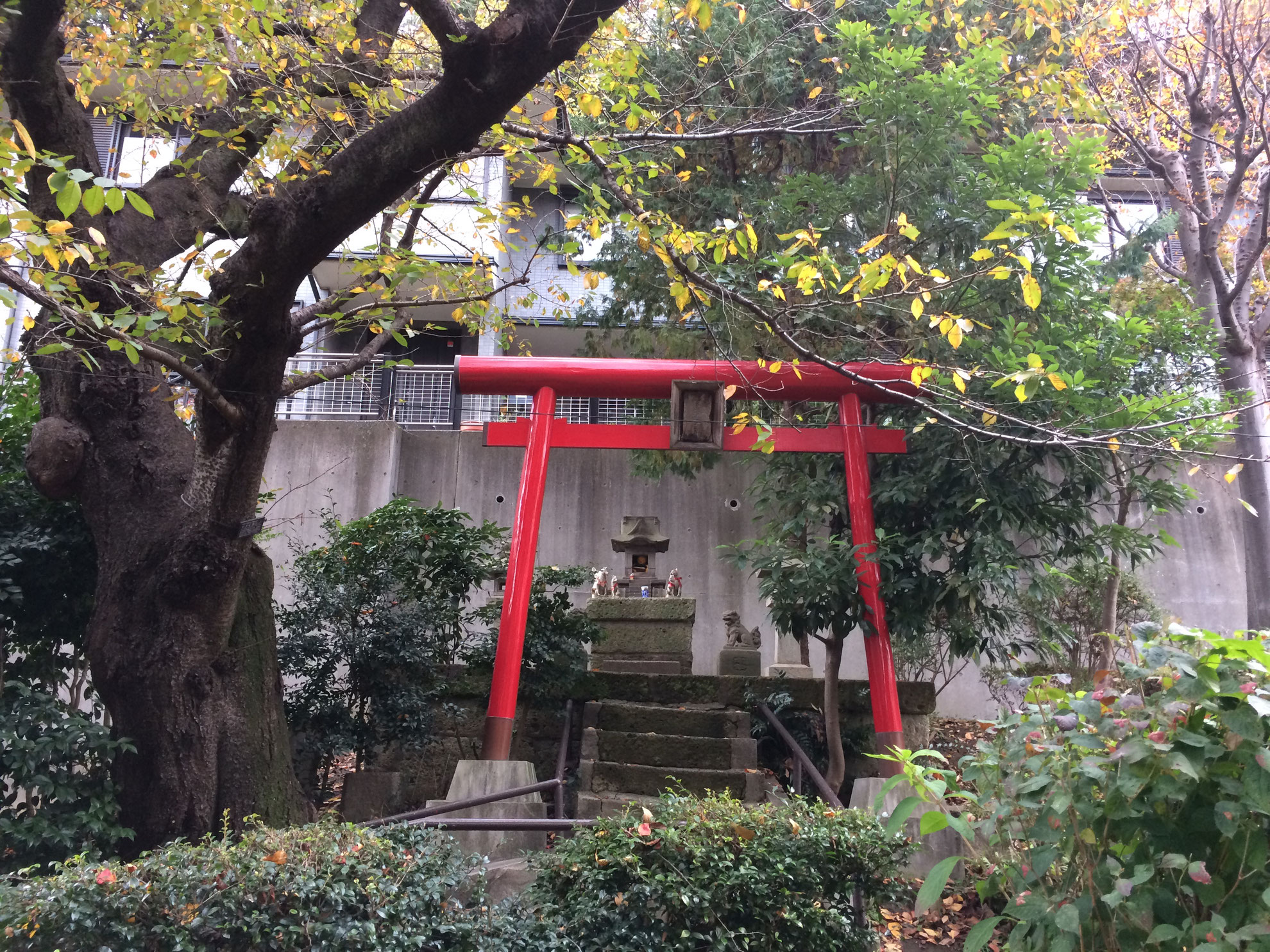 「麻布七不思議」って何？