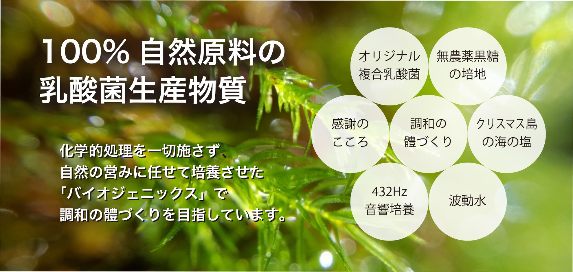 特徴 ks西日本 バイオの最先端 バイオジェニックス ks乳酸菌生産物質