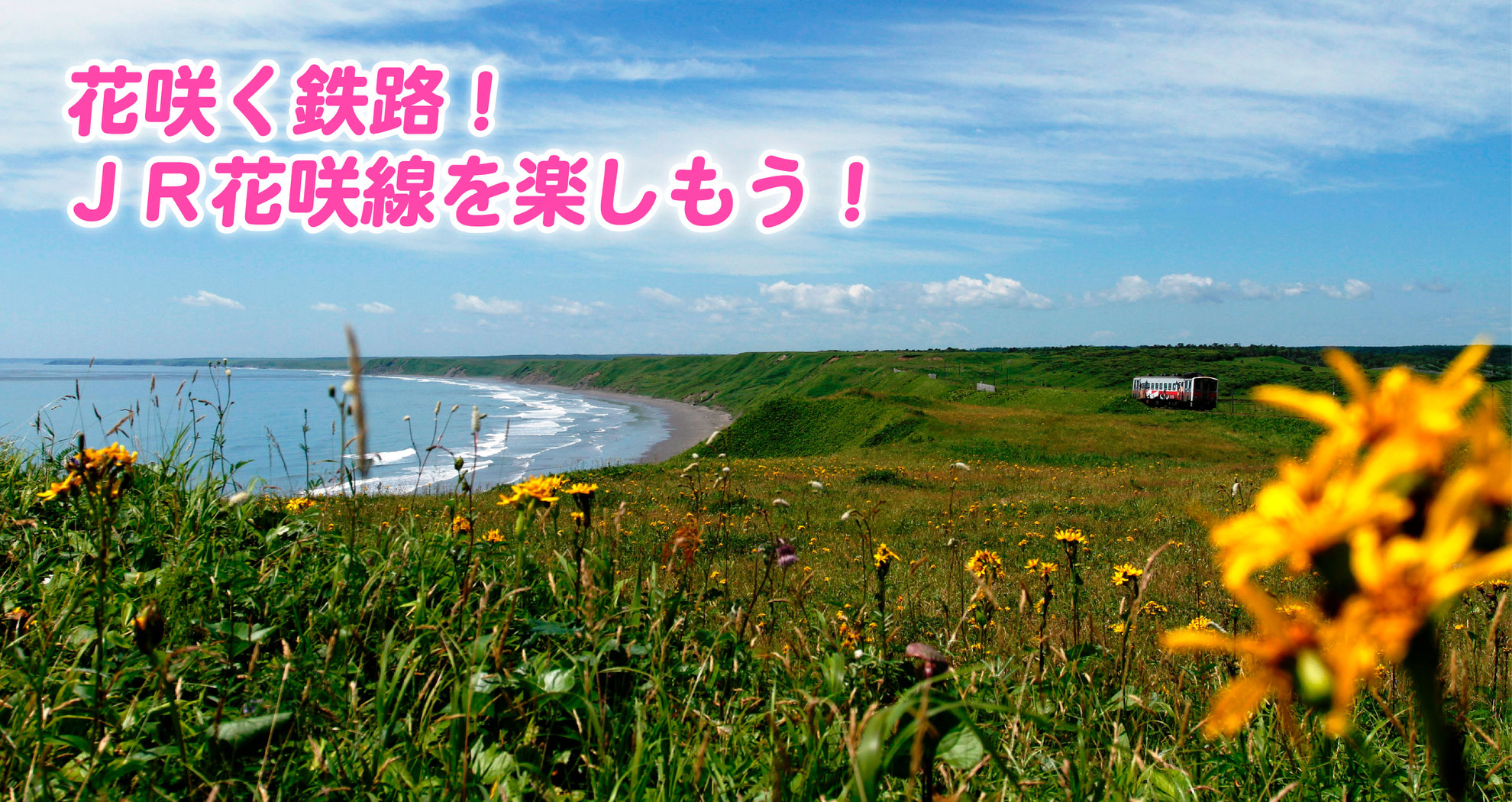 Jr花咲線 根室市観光協会