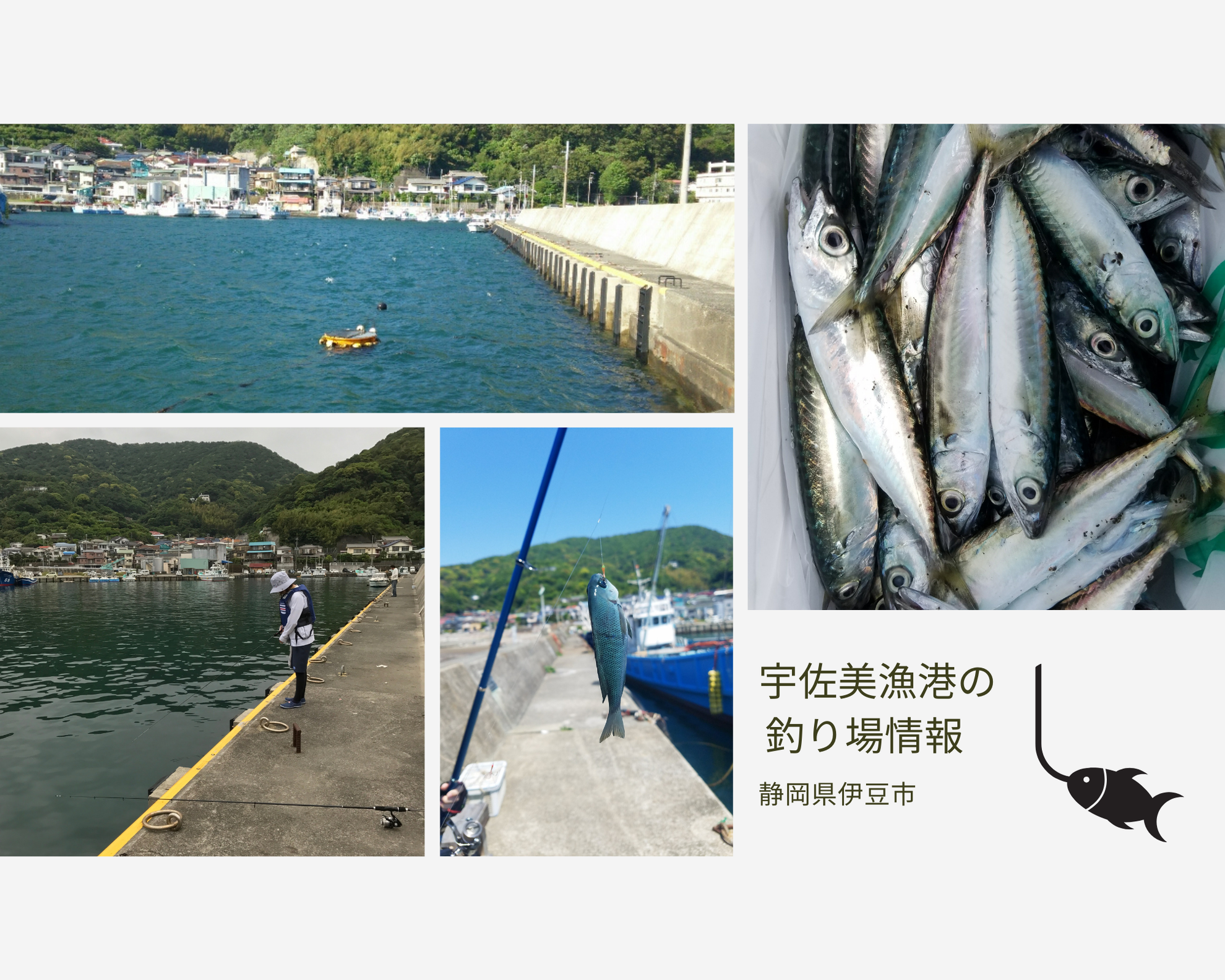 静岡県伊東市 宇佐美港の情報 Nanafising ページ 静岡県伊東市 宇佐美港の情報 Nanafising ページ