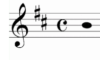 サン　サーンス　ヴァイオリン　協奏曲　第３番　重音　音程　取り方　ルール　バイオリン　レッスン　教室