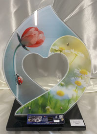 Altuglas Tulipe - 298 €