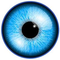 Journées Européennes de la Méthode Bates asssociation l art de voir ammeliorer la vision naturellement