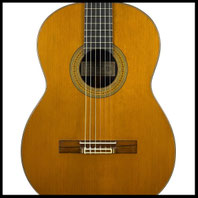 Ignacio Fleta - guitare classique