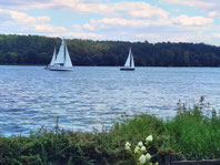 Die Havel am Breitehorn, Blick vom Uferweg. Foto: Helga Karl am 10.8.2025
