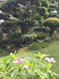 癒しの和エステ「心美」庭