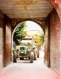 Der Bauernhof Burg 1989