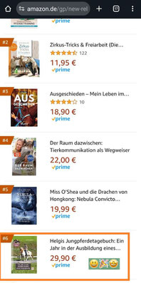 The book made it to rank #6 on Amazon!
