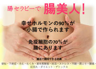 腸セラピーは、婦人病にお悩みの方に改善が期待できるコースです。幸せホルモンのほとんどが腸でつくられています。幸せホルモンのオキシトシン(Oxytocin, OXT)は、視床下部の室傍核と視索上核の神経分泌細胞で合成され、下垂体後葉から分泌されるホルモンであり、9個のアミノ酸からなるペプチドホルモンです。hogushiリラクゼーション浜松町店は2980円の安価なマッサージではありませんが、コストパフォーマンスでは2980円の安いマッサージ店に劣りません。女性の幸せホルモン、オキシトシンを多く分泌される効果