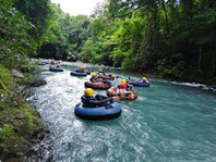 Combo Tour: Rio Celeste Waterfall, Tubing, sloth 