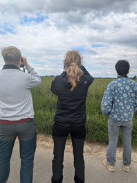 Was fliegt denn da? (Foto: © Carina Zöllmann)