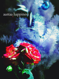 Xmas ディスプレイ バラ クリスマスツリー マタニティーマッサージサロン auttaahappiness