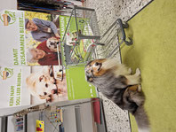 2025_08_02 Spendenannahme_Foto:Oetken