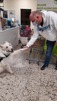 Weißer Schäferhund mit Frau bei Tiertafel-Spendenannahme