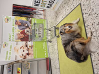 2025_08_02 Spendenannahme_Foto:Oetken