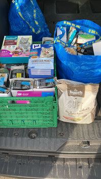 Gute Futterspenden in Spendenbox Quadrath-Ichendorf, Foto: Engels