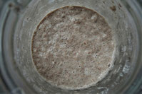 Sauerteigansatz