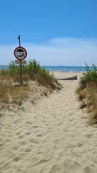 Strandbereich in der Nähe von Livorno