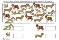CONTAR LOS PERROS