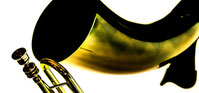 273 Horn