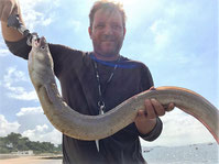 Peche d'un congre bassin d'Arcachon