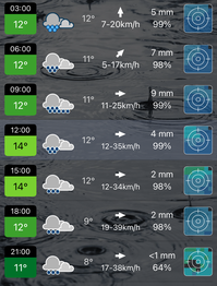 Laufen (Salzach), © Meteoblue