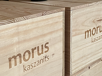 Auch die KI schreibt über den Morus