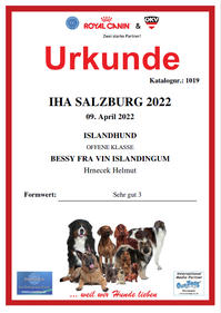 islandhunde-von-vienna-city-IHA Salzburg 09.04.2022
