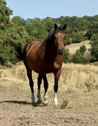 Sa mère, Eden du Theil