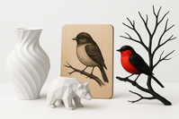 D e r   B l i c k   f ü r's   B e s o n d e r e