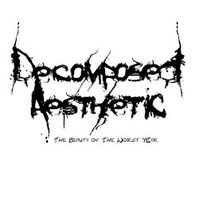 Decomposed Aesthetic - The Beauty Of The Worst Year