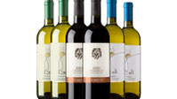 Foto: Foresti Wine