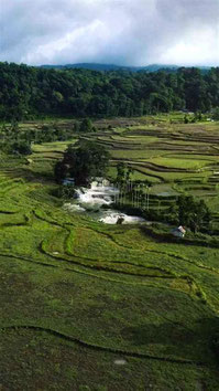 Weekacura waterfall in West Sumba