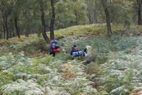 Abstieg ins "Glen Tromie"
