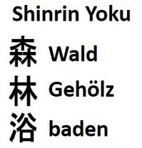 japanische Schriftzeichen shinrin yoku