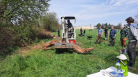 Eidechsen-Habitat anlegen – Foto Albert Hullen