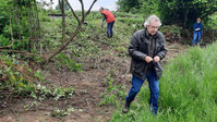 Eidechsen-Habitat 2– Foto Albert Hullen