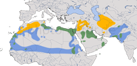 Karte zur Verbreitung des Rennvogels (Cursorius cursor)