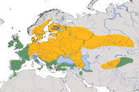 Karte zur Verbreitung der Hohltaube (Columba oenas)