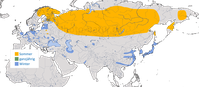 Karte zur Verbreitung des Zwergsägers (Mergellus albellus)