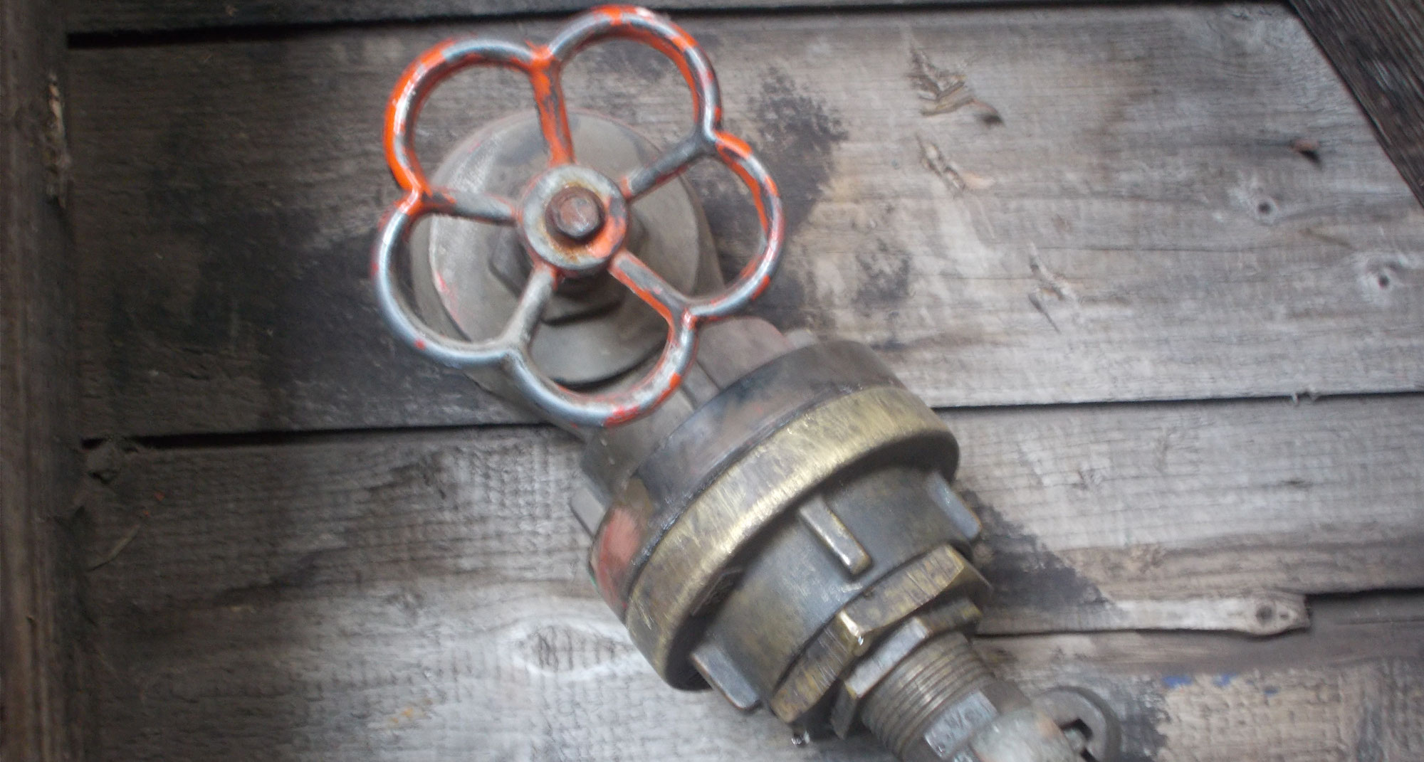 ELFRIEDE in den Medien Ewer ELFRIEDE