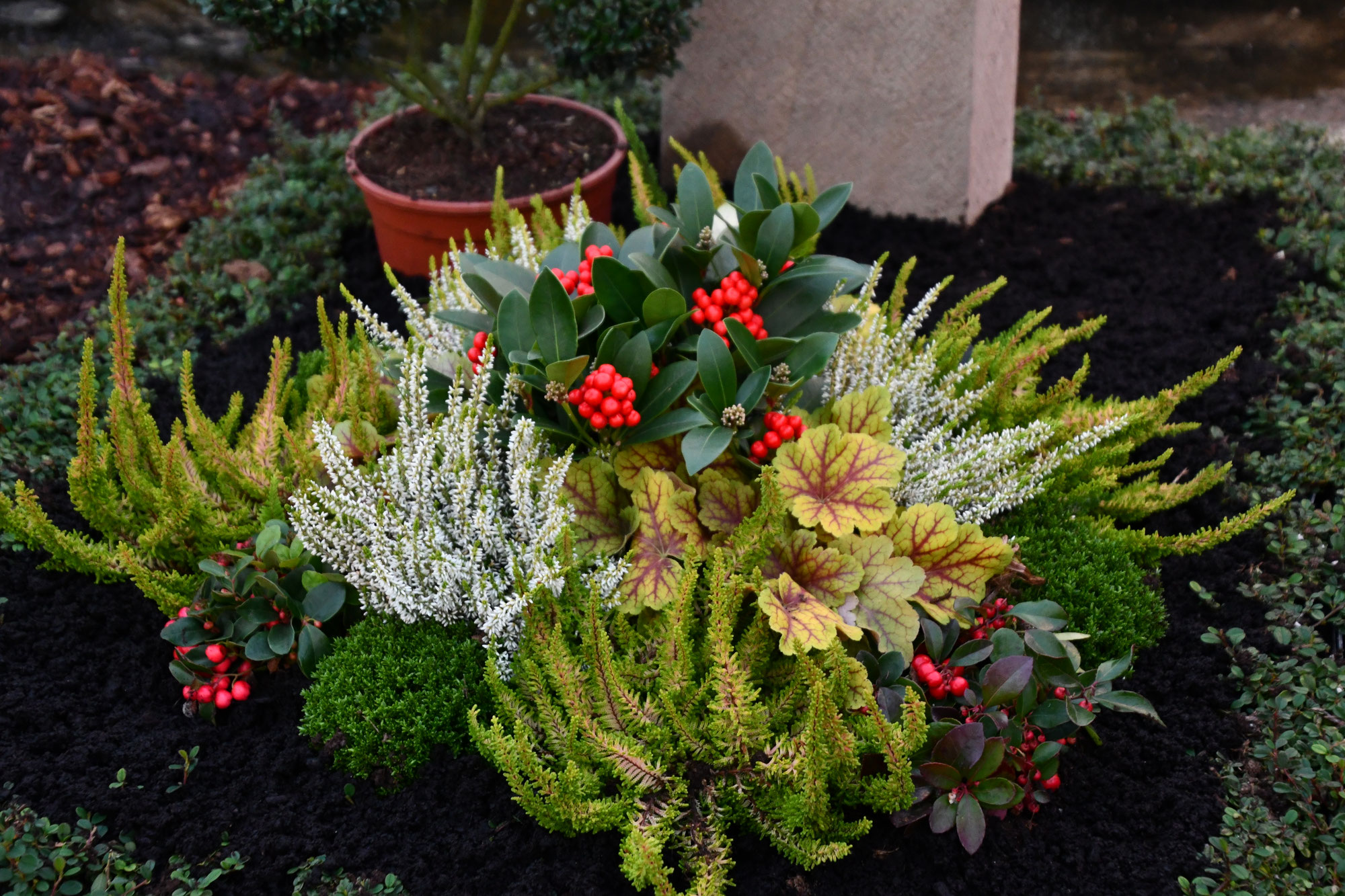 Winterharte Blumen Fürs Grab - Über Blumen
