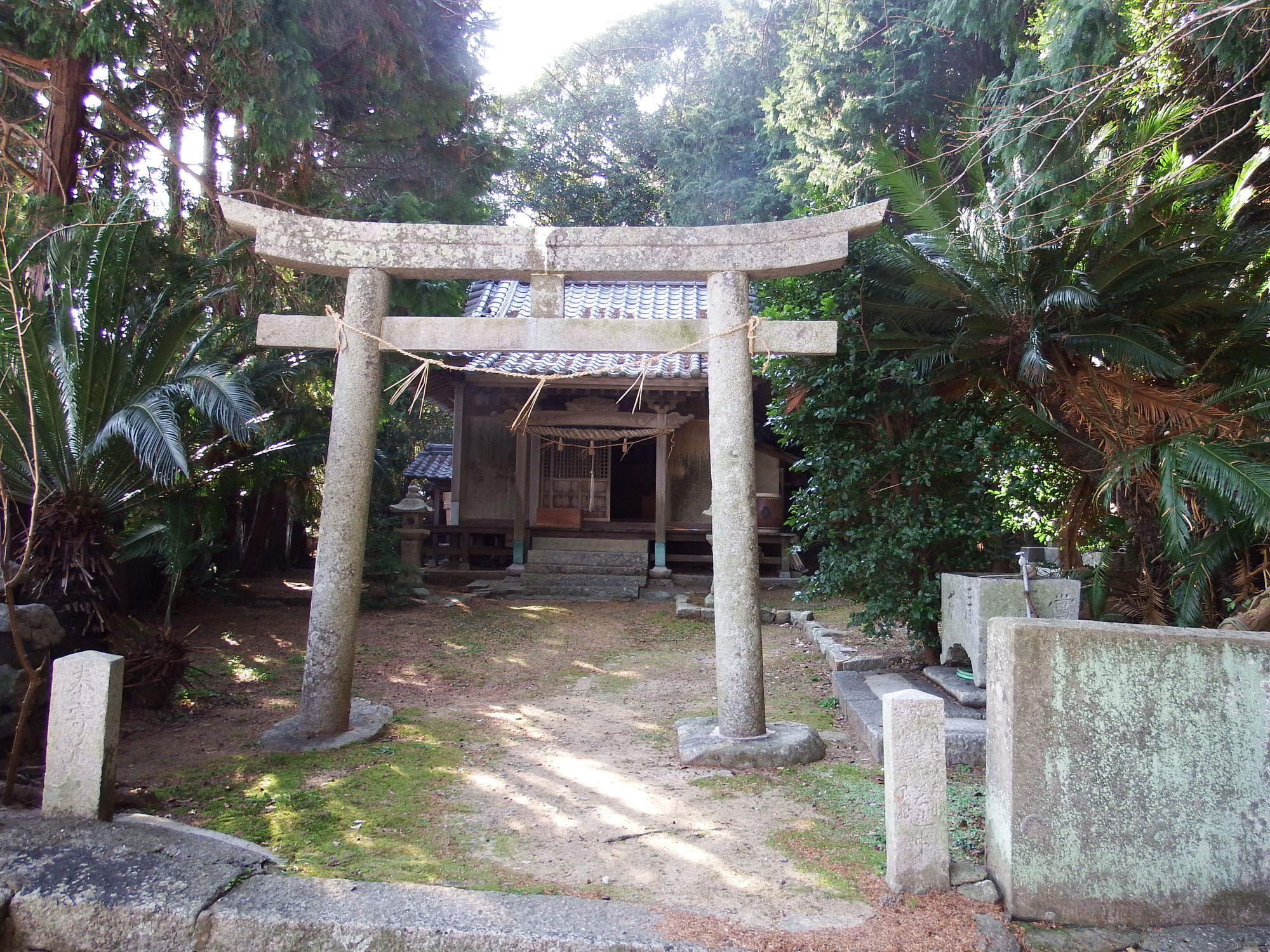 端島（はしま）Hashima